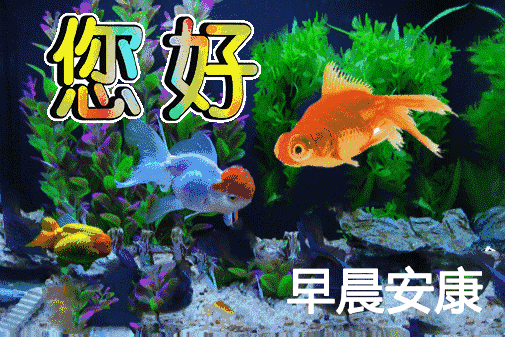 3月2日最新群发早晨好问候祝福动态图片表情3月最新早上好问