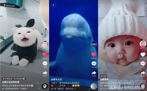 千万粉丝的抖音大咖总结出的七大抖音必火内容第六个最要功力