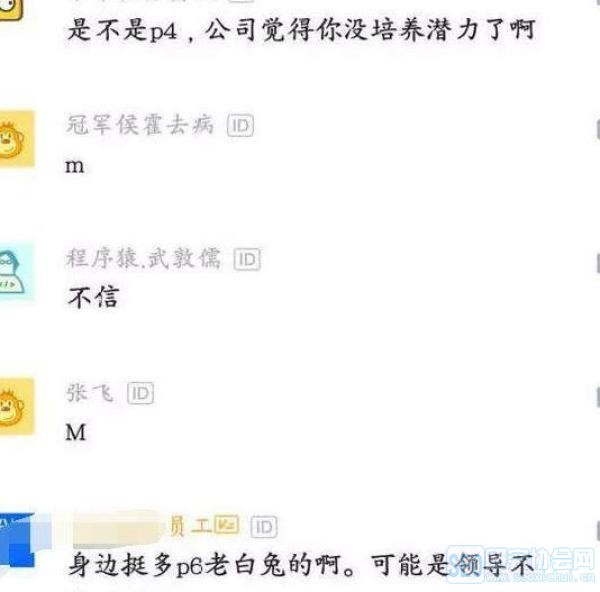 36岁的程序员被公司劝退,找领导谈话时,听到领导的话表示很无奈