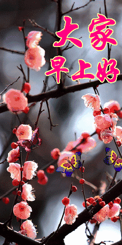 6ʺȺƯϺʺ̬ͼƬ ΢簲ףܰ