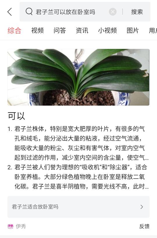 头条搜索精准问答合作指南