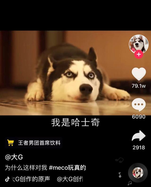 抖音吸粉大号养成记:快速吸粉——他们是这么做的