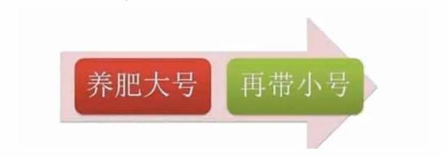 2020 最新微信养号+防封+解封:详细操作攻略!