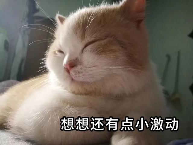 面膜排行榜及价格_全球最贵贴片面膜排行榜,这价格让我的角质层都在颤抖~