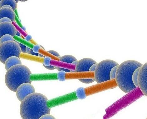 百科解密:为什么科学家都用小白鼠做实验?