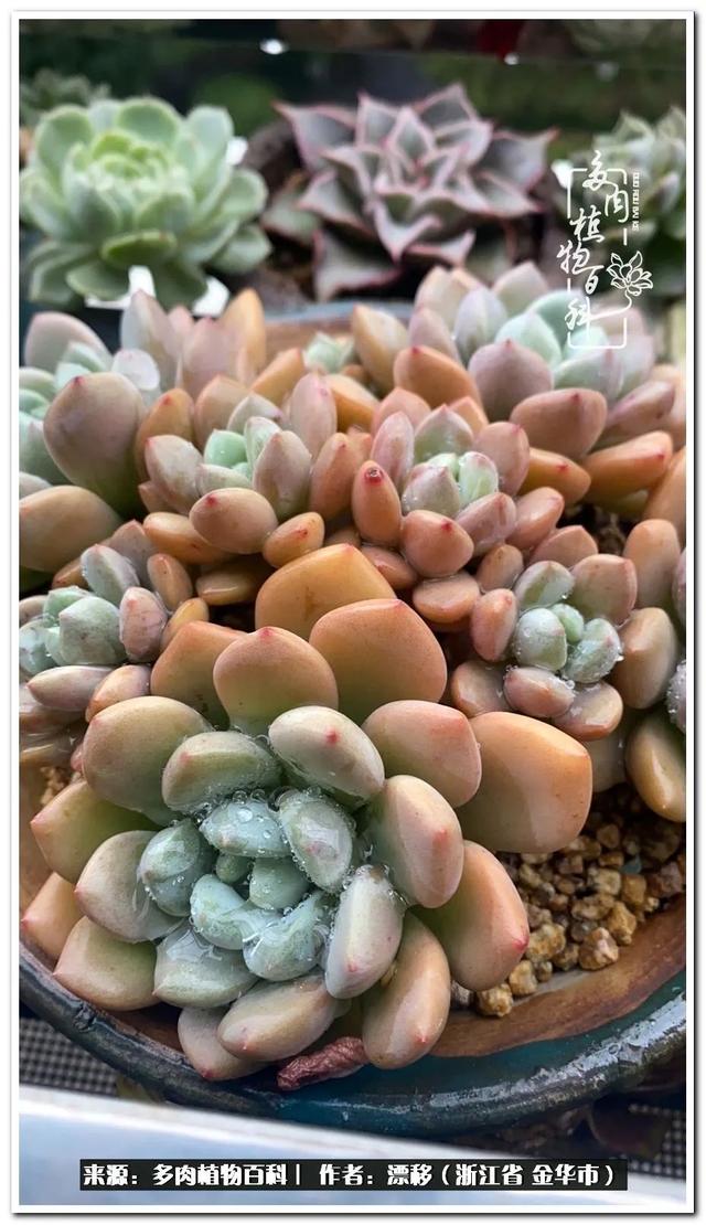 生活因你们而绽放,生命因你们而精彩