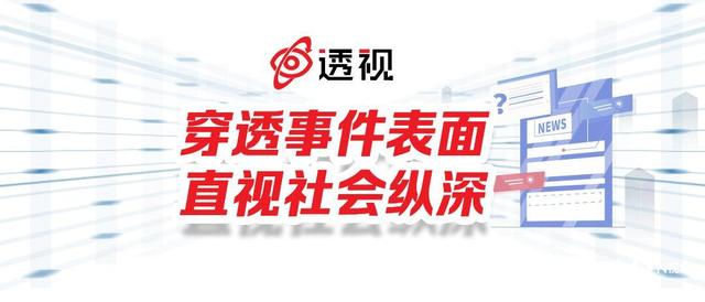 起底期刊山寨网站:搭建成本仅几百元,“代发论文”收费过万